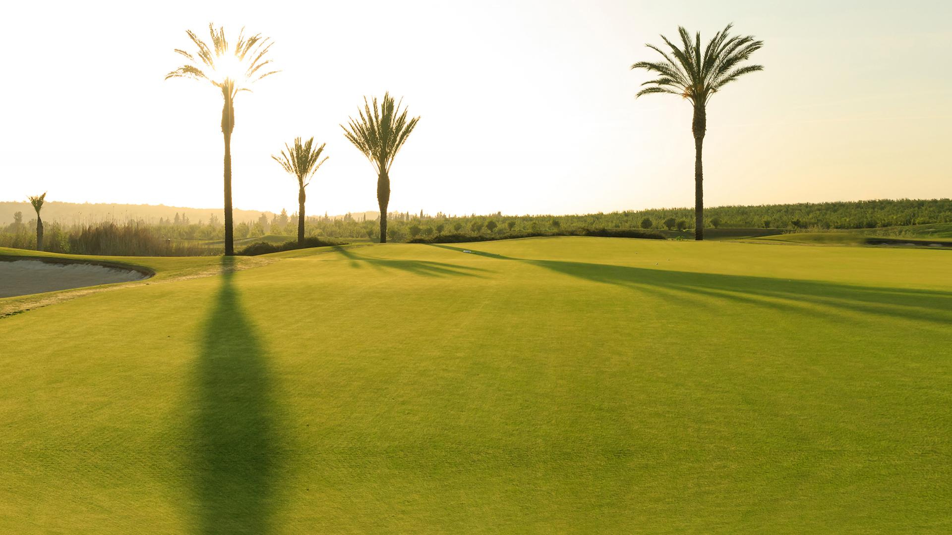 Viver no Algarve durante a reforma!