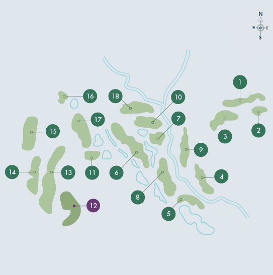 Faldo Course - Buraco 12