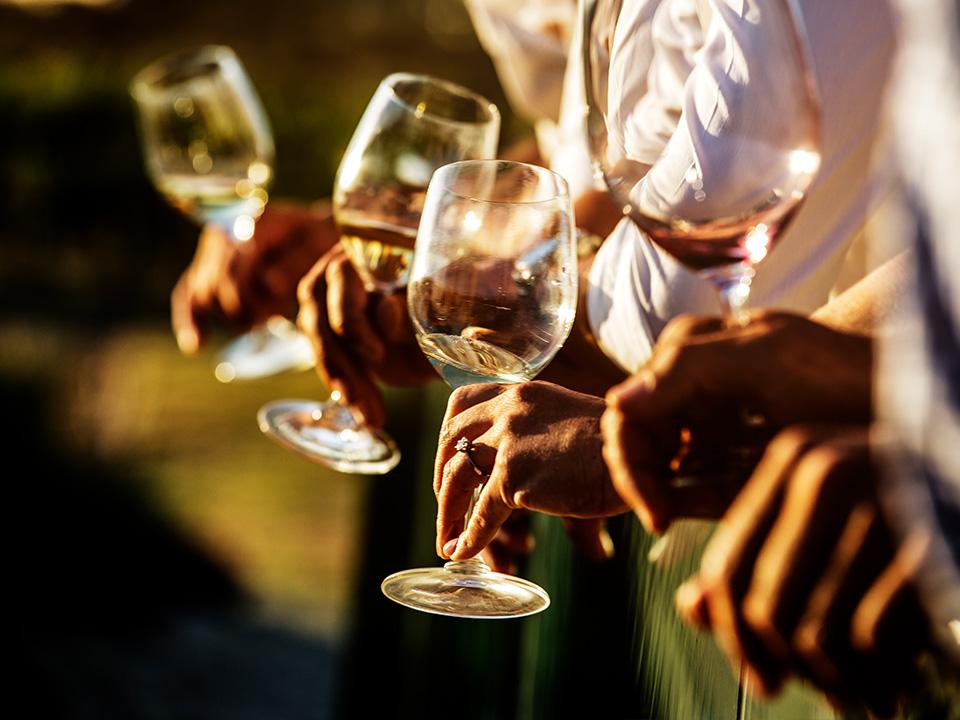 Wine tasting experiences